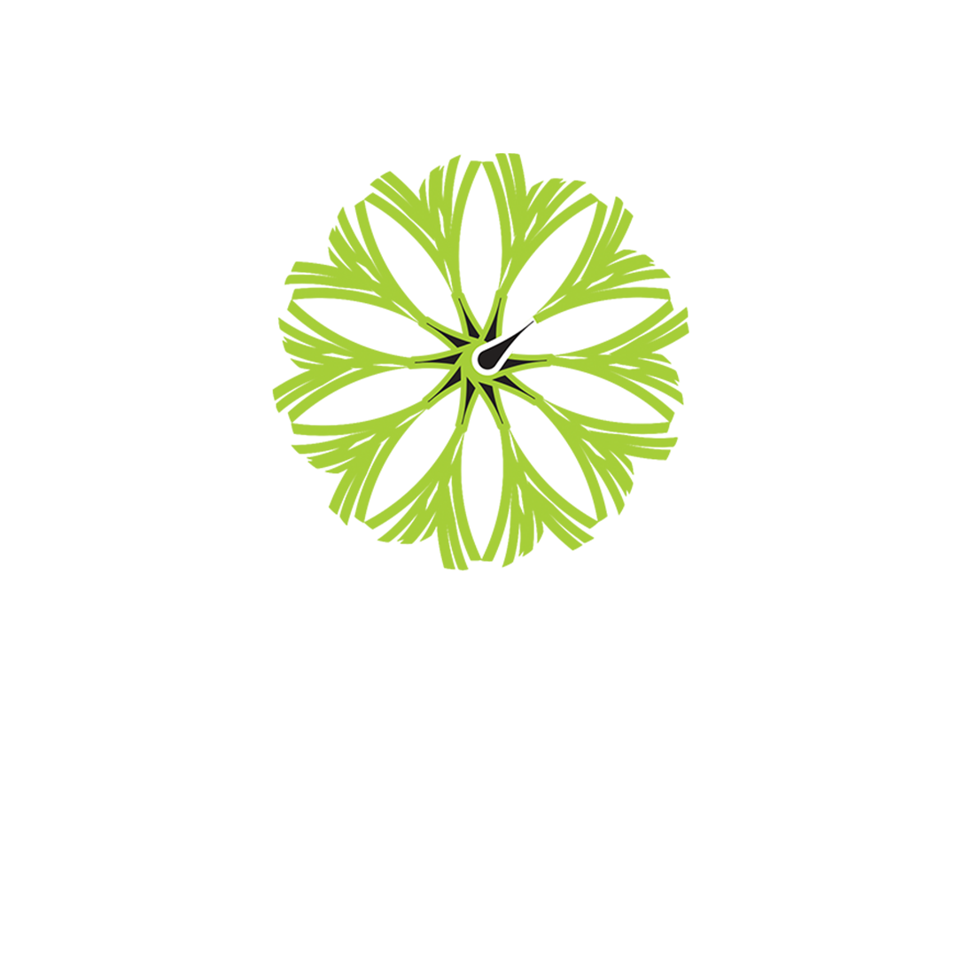 spring-onion-logo